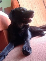 /album/ruzne/max-22-9-09-1-jpg/